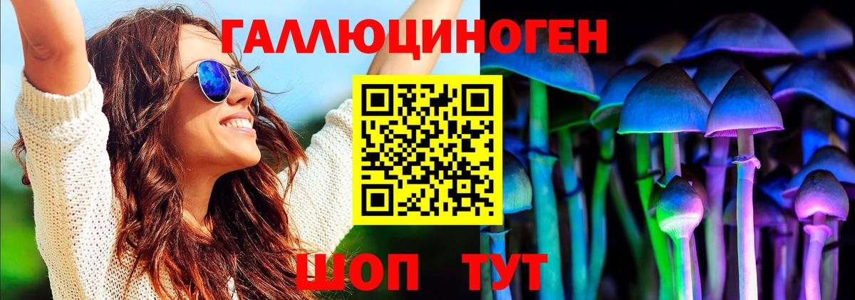 Алексеевка  Галлюциногенные грибы Psilocybe  наркошоп  Вход с VPN 